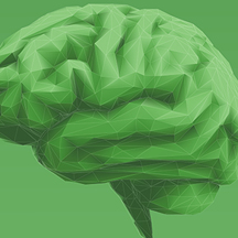 Head First: Brain Injuries and Their Aftermath