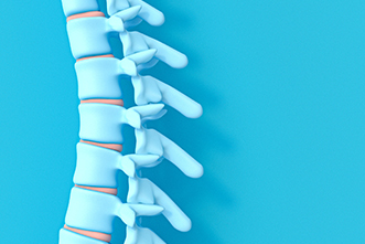 Spine